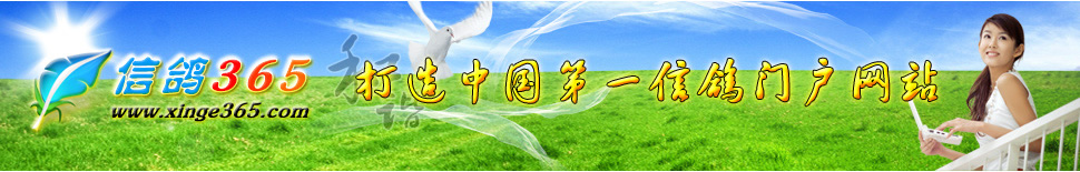 信鸽365--打造中国第一信鸽门户网站！